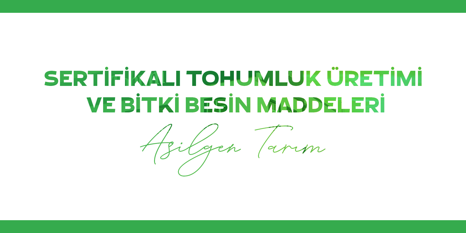 
SERTİFİKALI TOHUMLUK ÜRETİMİ VE BİTKİ BESİN MADDELERİ